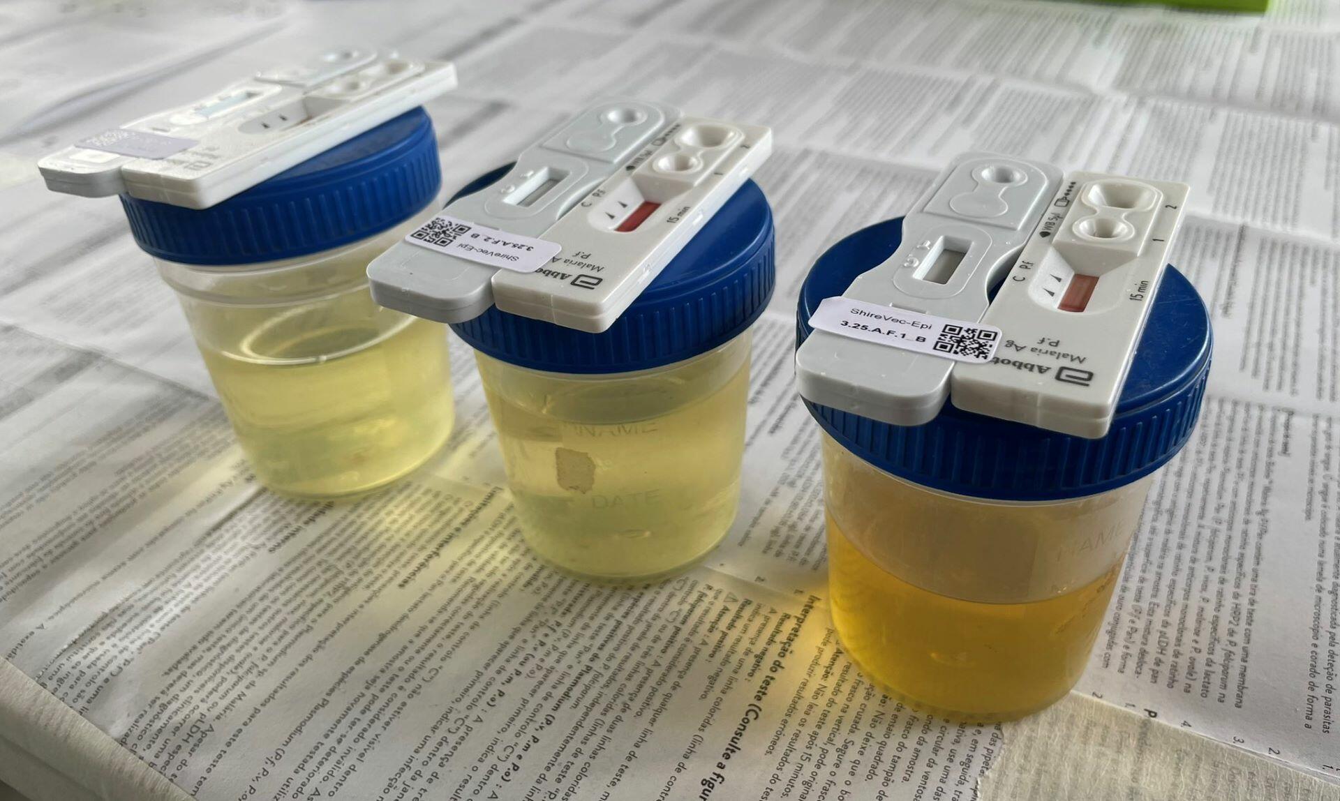 (Credit: Russell Stothard)