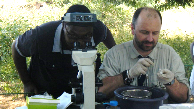 Dr Khumbo Kalua inspecting atypical eggs 