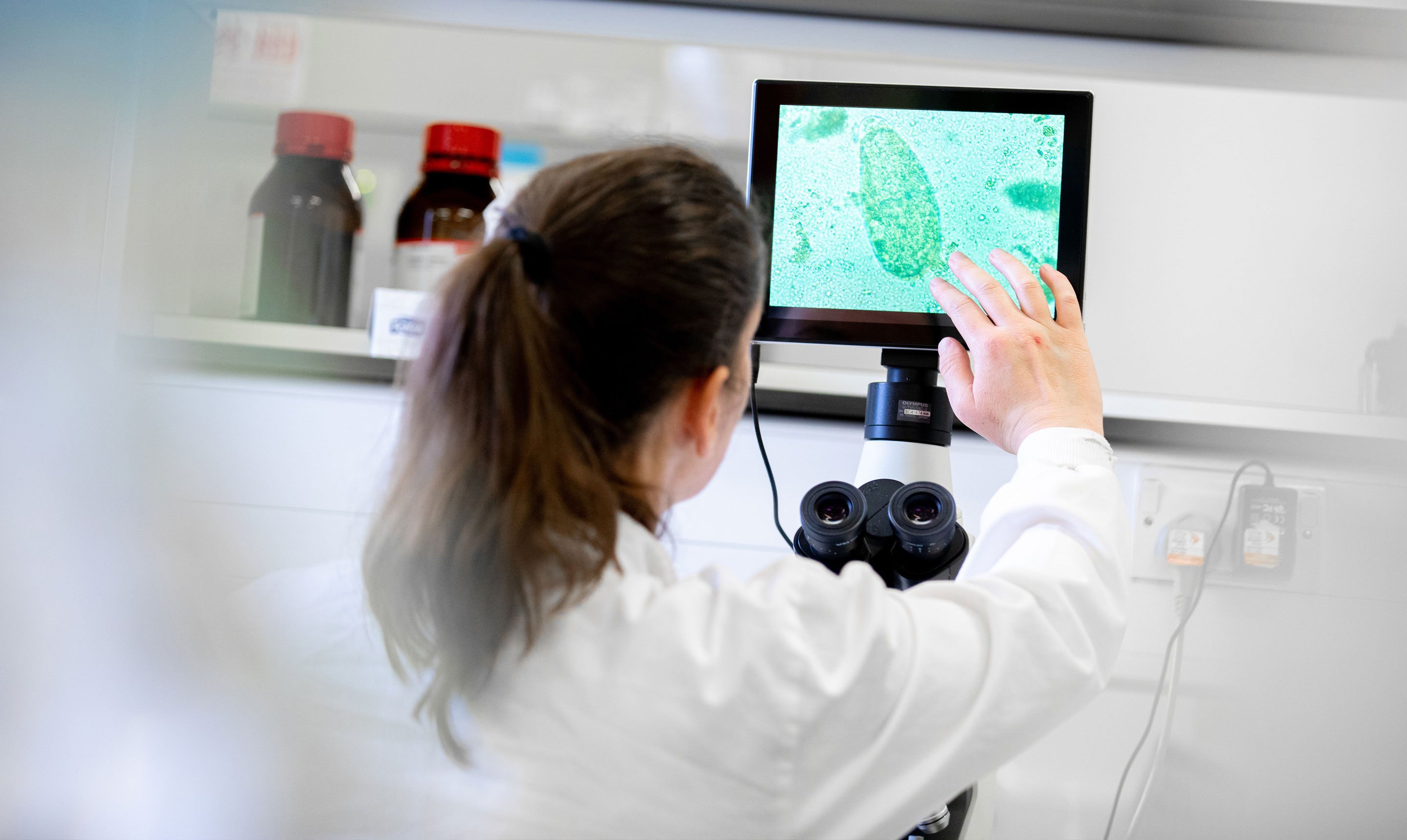 A researcher in a white lab coat examines microscopic organisms displayed on a digital screen attached to a microscope. The screen shows a magnified green-tinted image of a single-celled organism against a textured background. The researcher, with long brown hair tied in a ponytail, touches the screen to interact with the image. Laboratory shelves with bottles and supplies are visible in the background, highlighting a modern scientific research environment.