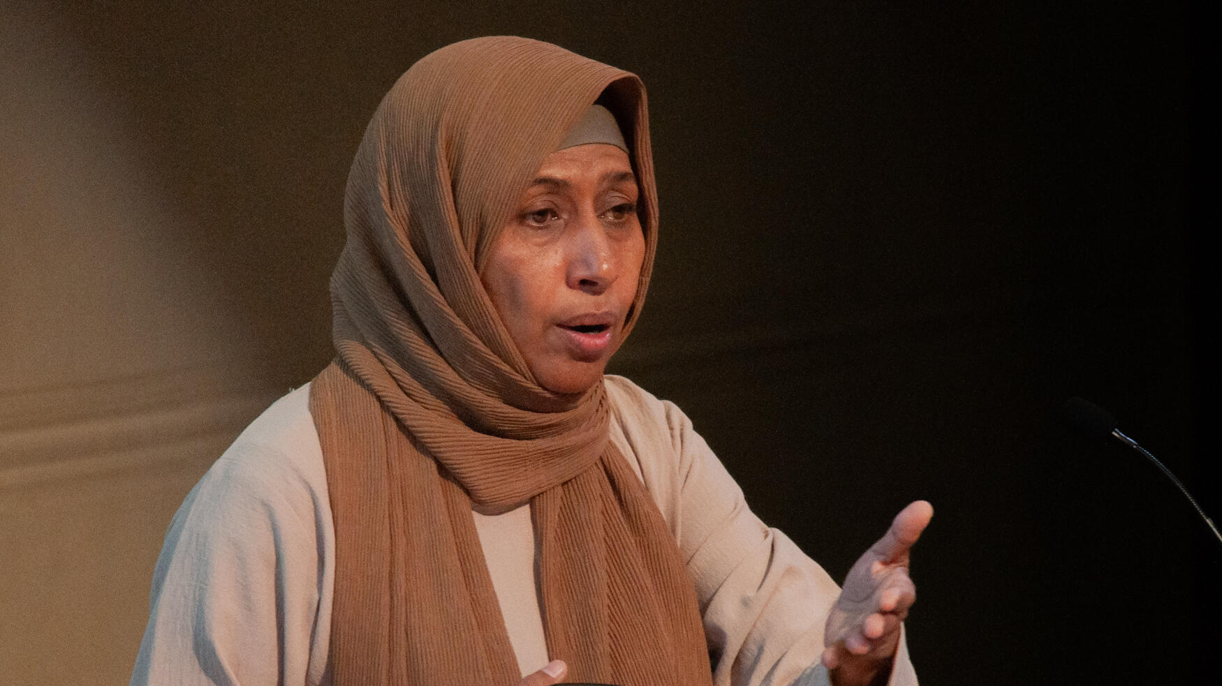 A picture of LSTM’s 125th ​Anniversary ​Leverhulme Lecture​ with Professor Najla Al - Sonboli​.