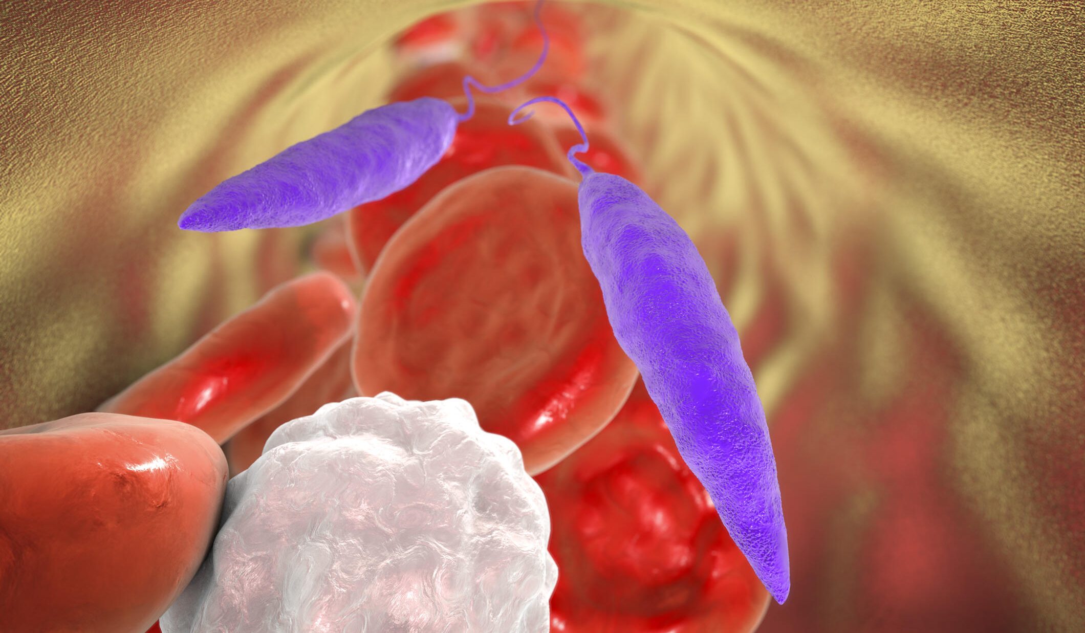 3D medical illustration showing Leishmania parasites among red and white blood cells inside a blood vessel. The elongated, purple, flagellated protozoa stand out against the red cells, representing the causative agent of leishmaniasis.