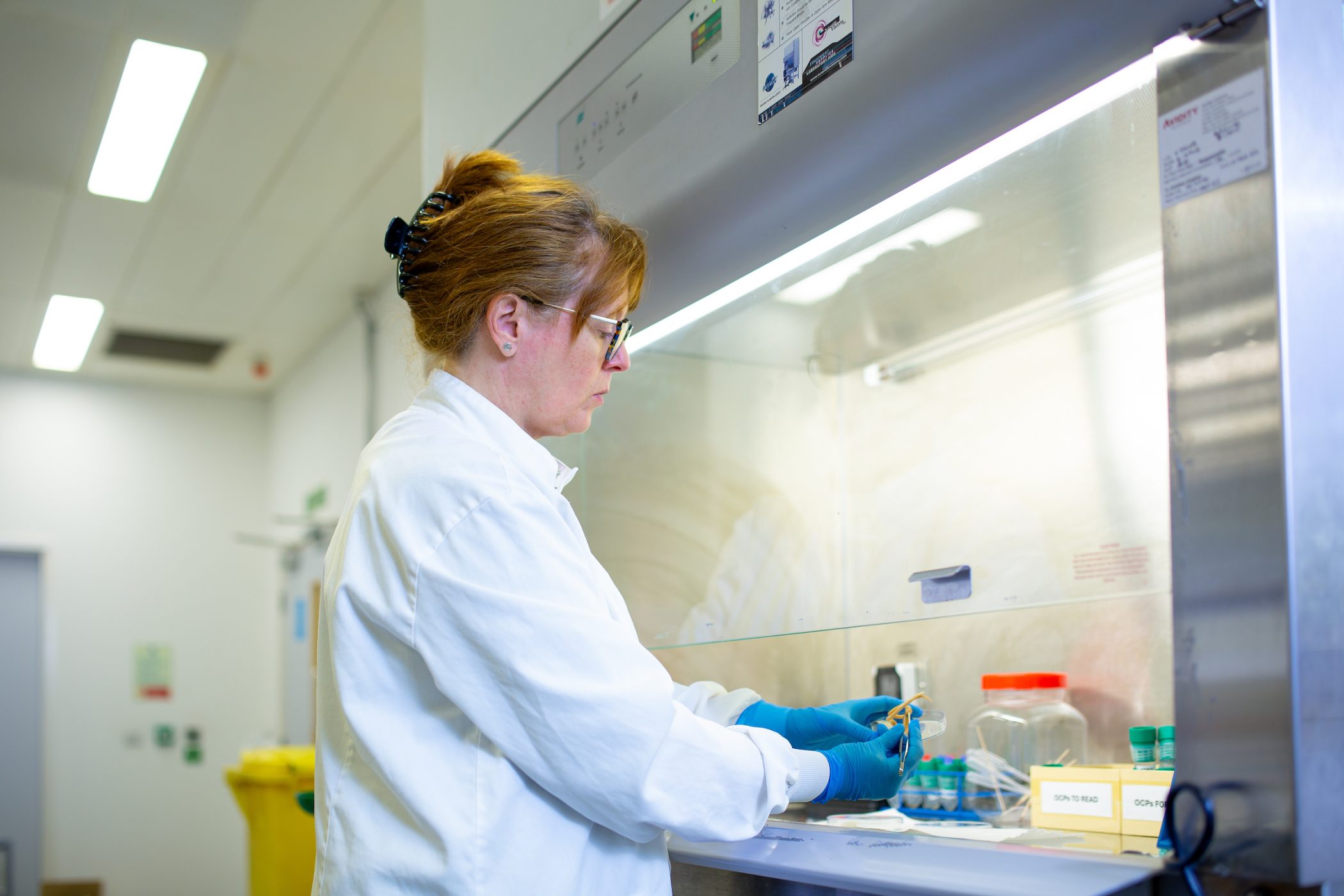 A scientist wearing a white lab coat and blue gloves works at a biosafety cabinet in a laboratory, handling samples with tools under bright, sterile lighting.