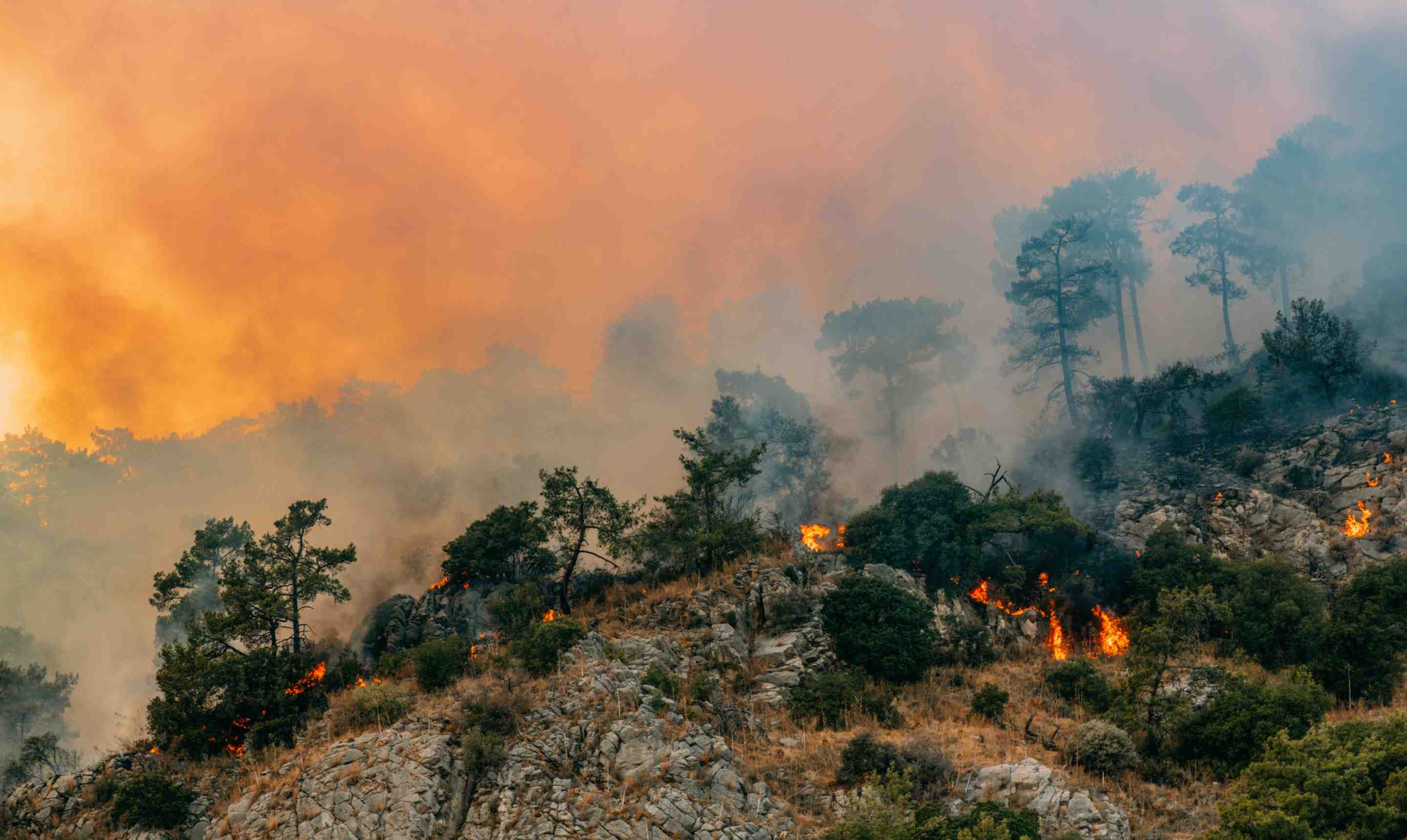 A wildfire burns across a rocky hillside, with flames among trees and thick smoke billowing into an orange sky.