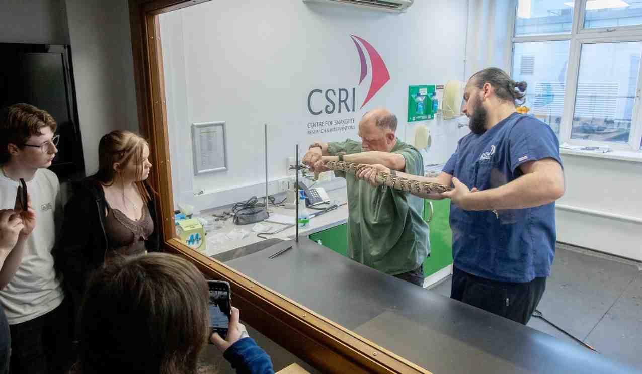 Behind glass, CSRI staff hold and work with a large snake at a lab bench while visitors look on and take photos during a tour.