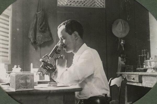Vintage photo of Joseph Everett Dutton using a microscope