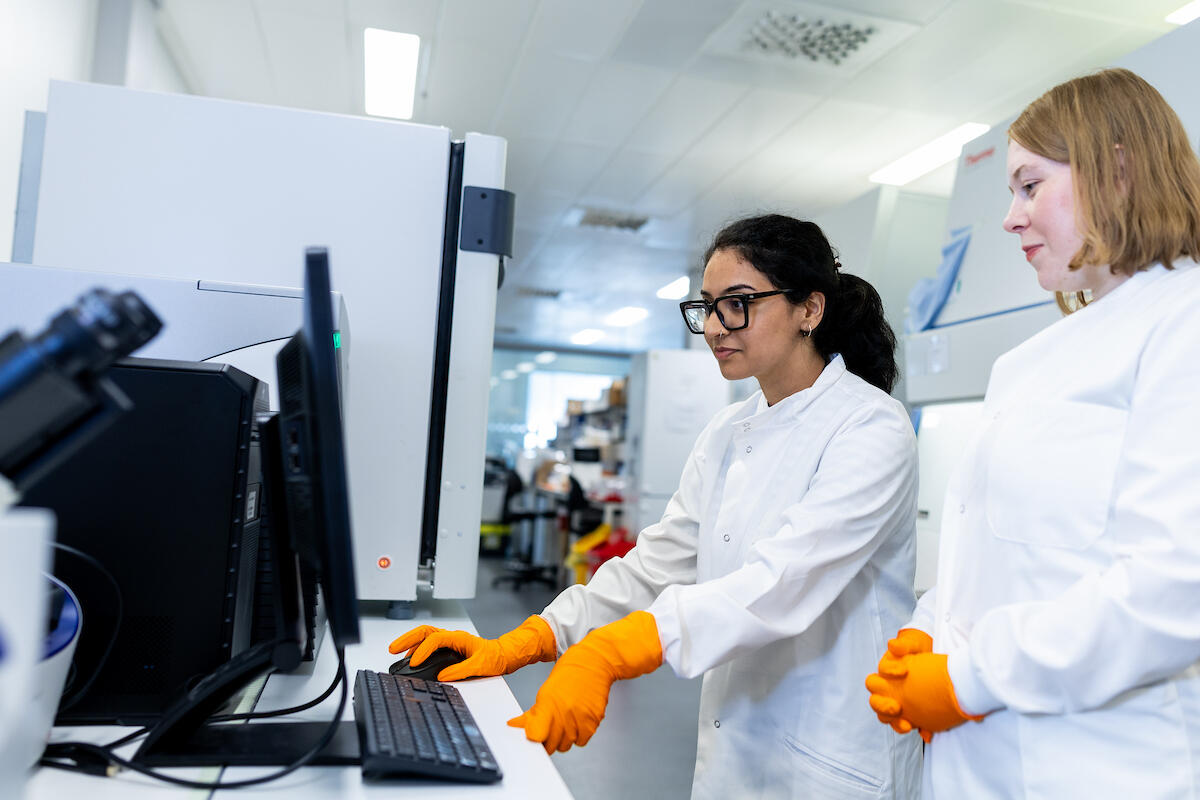 LSTM researchers looking at a computer screen