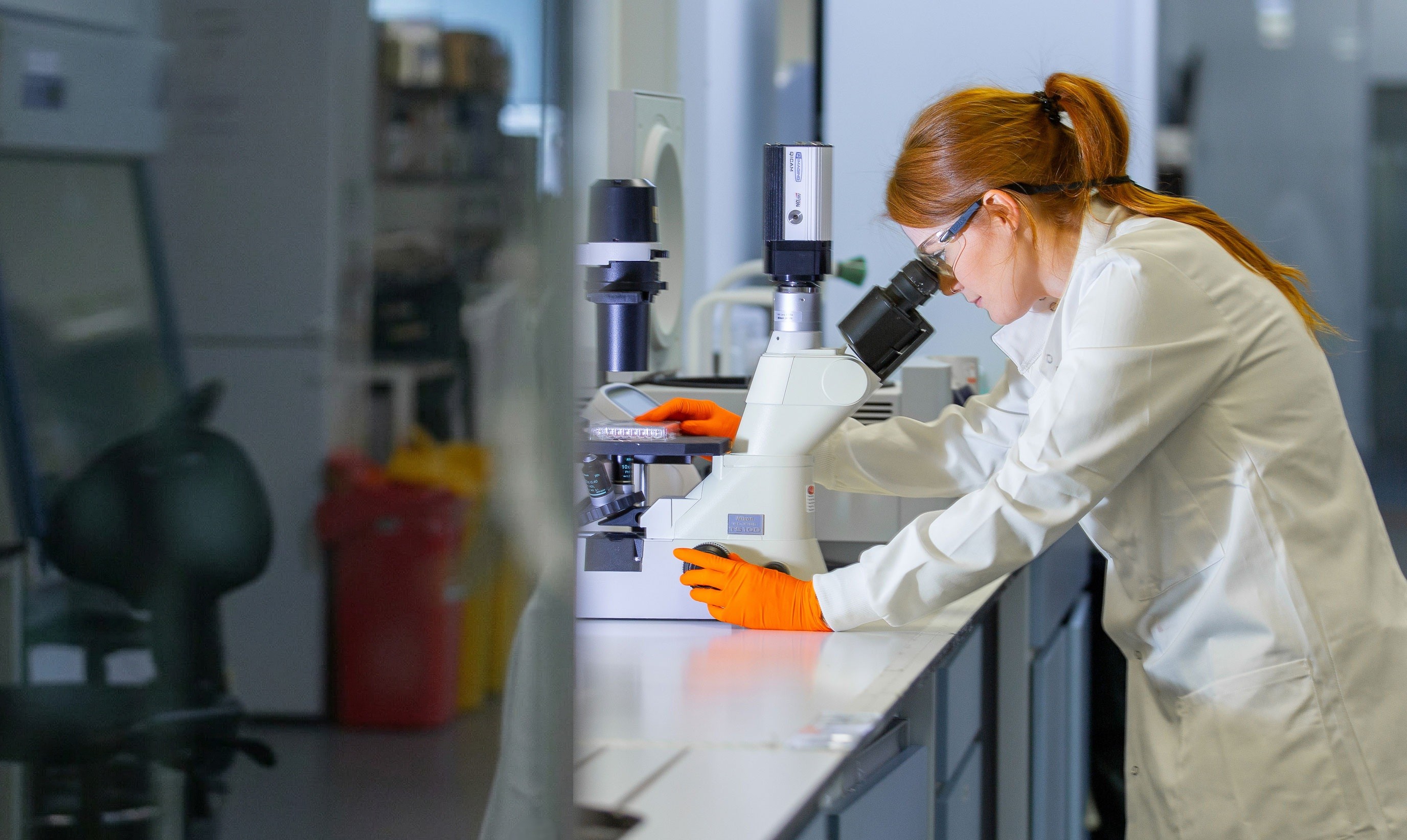 A female researcher in a white lab coat and bright orange protective gloves leans over a laboratory bench to examine samples through a microscope. She is focused on the microscope’s eyepiece, adjusting the equipment with one hand while holding a sample tray with the other. The laboratory environment around her includes scientific equipment, storage units, and waste containers, emphasising a professional setting for detailed sample analysis.