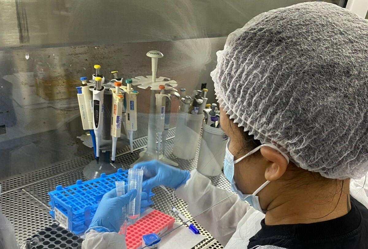 Researcher wearing protective gloves, mask and hair net working inside a laboratory safety cabinet, holding sample tubes and pipettes while preparing biological samples on a rack surrounded by pipetting equipment.