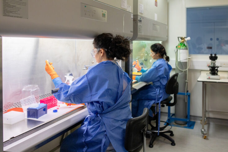 Photo of 2 people testing samples in a lab.