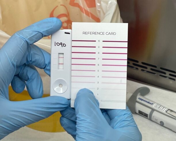 Gloved hands hold a small lateral flow test with one visible line; a reference card labeled 'REFERENCE CARD' is beside it.